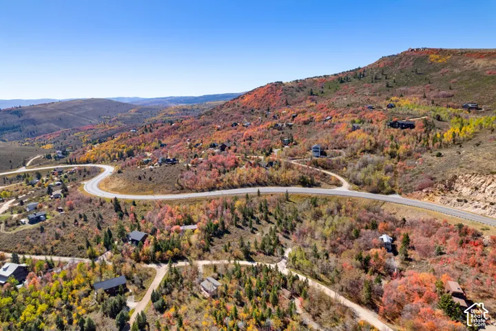 Winding road traversing a mountainous landscape with diverse foliage and scattered residential structures