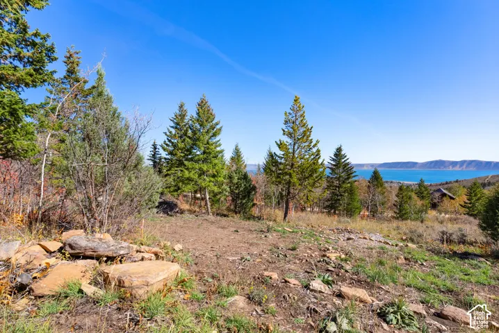 Sloping terrain with natural ground cover, mature evergreen trees, and a distant body of water