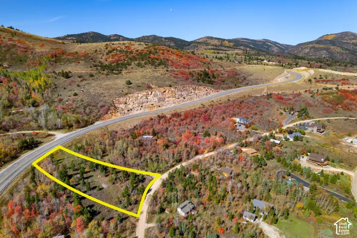 Expansive lot with direct road frontage, offering mature trees and varied topography