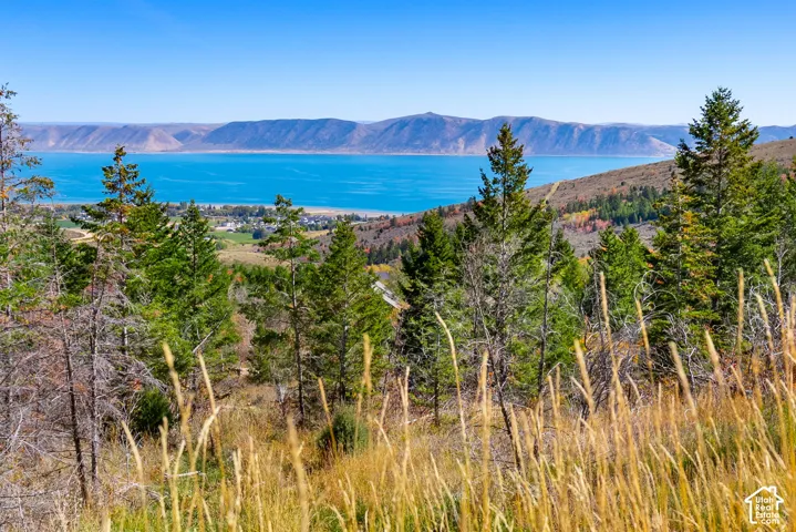Expansive terrain with natural foliage, mature trees, and a prominent body of water with distant landmasses