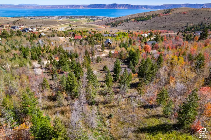 Expansive natural landscape with diverse tree coverage, including evergreens and deciduous trees