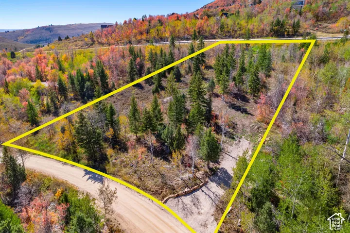 Expansive undeveloped lot featuring a natural landscape and mature trees