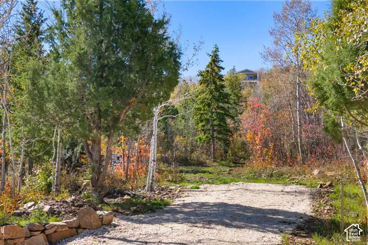 Gravel path with natural stone border, surrounded by mature trees with seasonal foliage, and distant architectural structure
