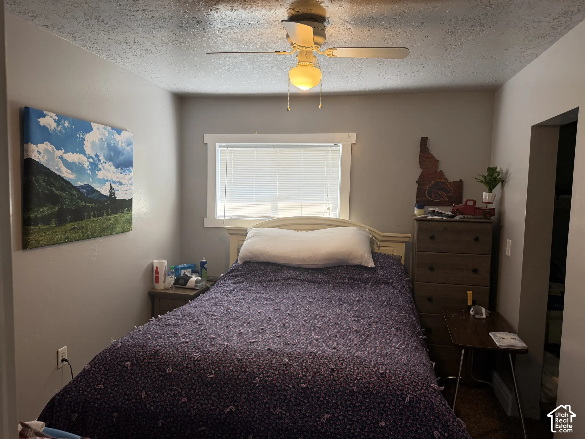 Window with horizontal blinds, built-in ceiling fan with light fixture, wood-finish flooring, painted walls, and white trim