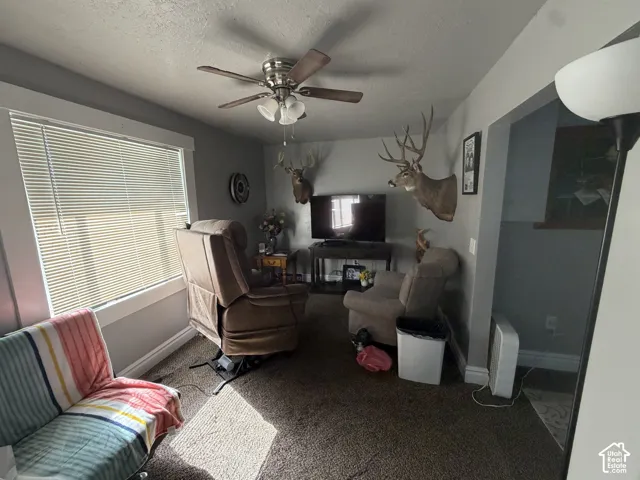 Textured carpet flooring, window with blinds, ceiling fan, and painted walls