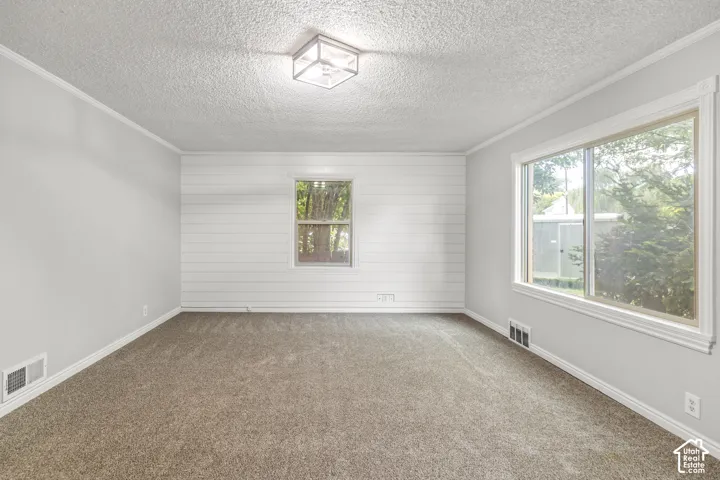 Carpeted interior with shiplap accent wall and multiple windows providing natural light