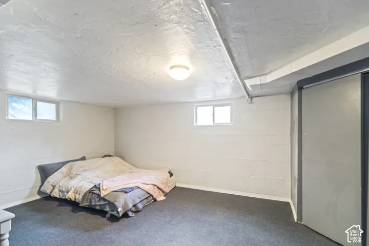 Carpeted floor, painted concrete walls, two casement windows, and a flush-mount ceiling light