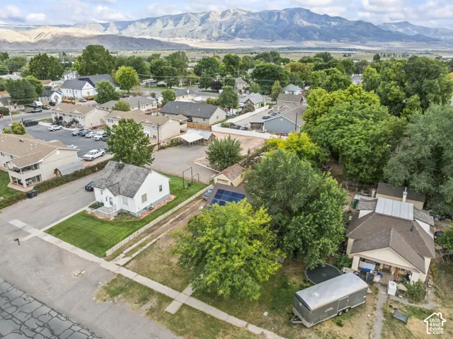 Mountain backdrop with a residential neighborhood featuring established trees