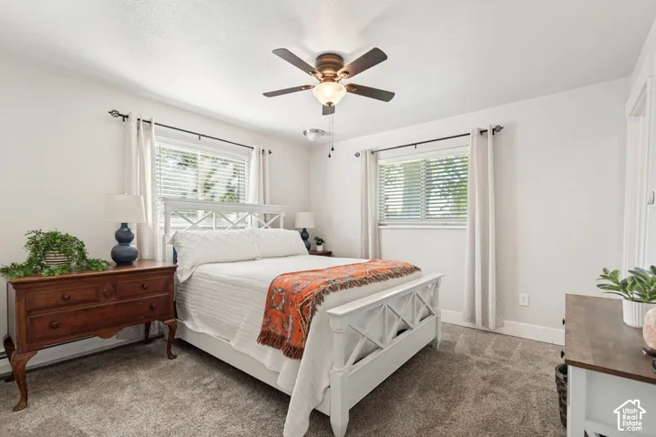 Plush carpeting and two windows with blinds