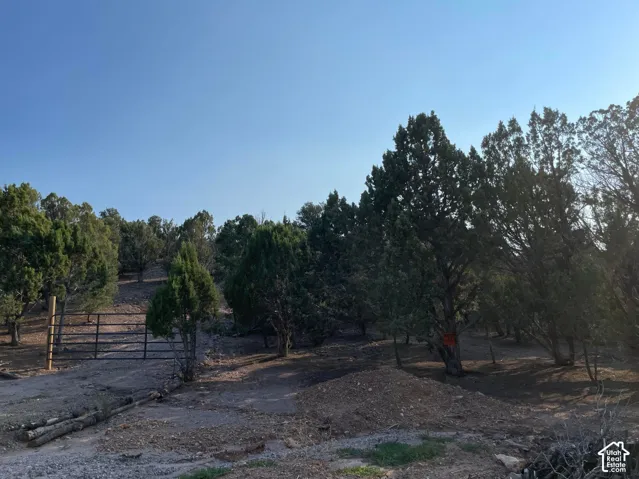 Expansive natural landscape with varied mature trees and a clear sky