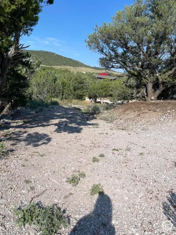 Mountain backdrop with surrounding natural foliage