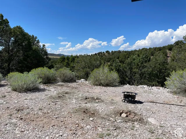 Expansive outdoor space featuring a rocky ground surface, diverse shrubbery, and mature evergreen trees, all set against a distant mountainous backdrop