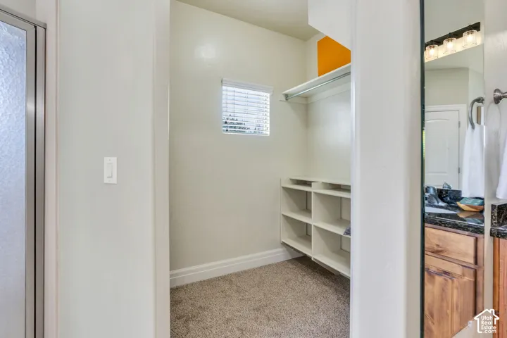 Walk-in closet featuring built-in shelving, hanging rod, and carpeted flooring