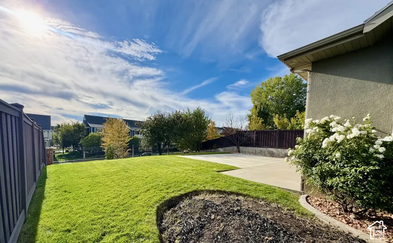 Expansive grassy yard with mature shrubs and a concrete patio with sport court and garden area.