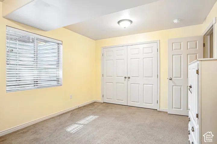 Window with horizontal blinds, neutral carpet flooring, and white paneled doors