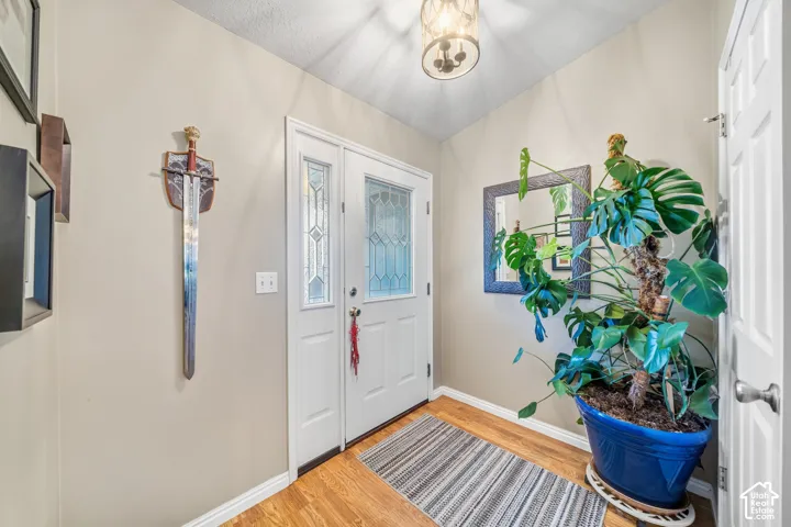 White paneled entry door with decorative glass inserts, wood-finish flooring, and a semi-flush mount ceiling light