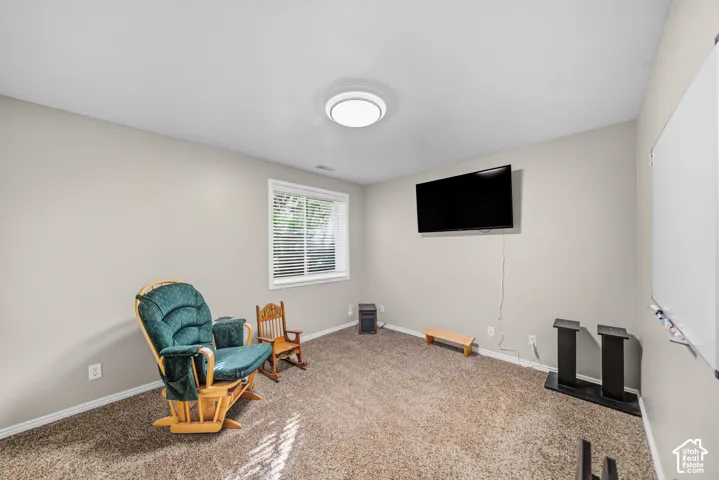 Carpeted room with neutral wall paint, a window with blinds, and an overhead flush-mount light fixture