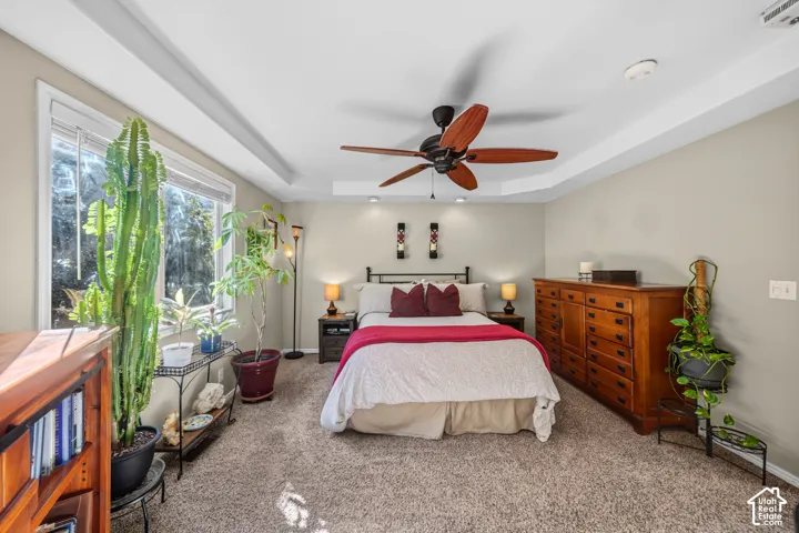 Tray ceiling with recessed lighting and a ceiling fan