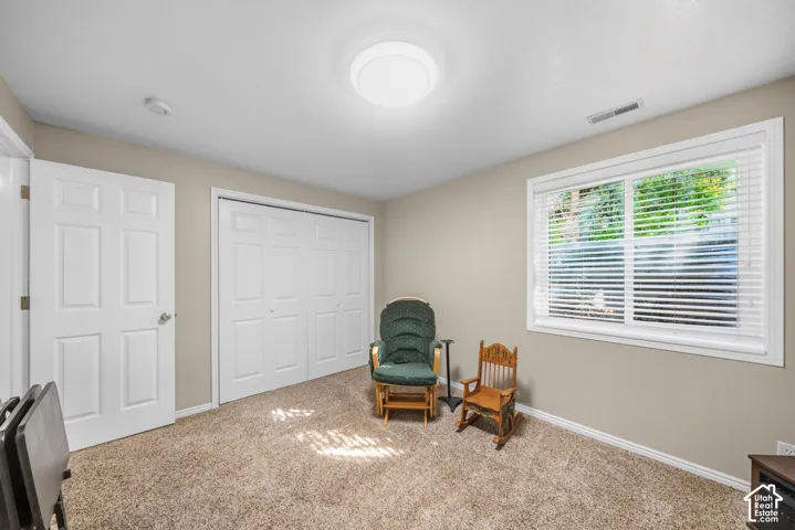 Neutral wall color, carpet flooring, window with blinds, white trim, white paneled doors, and a ceiling light fixture