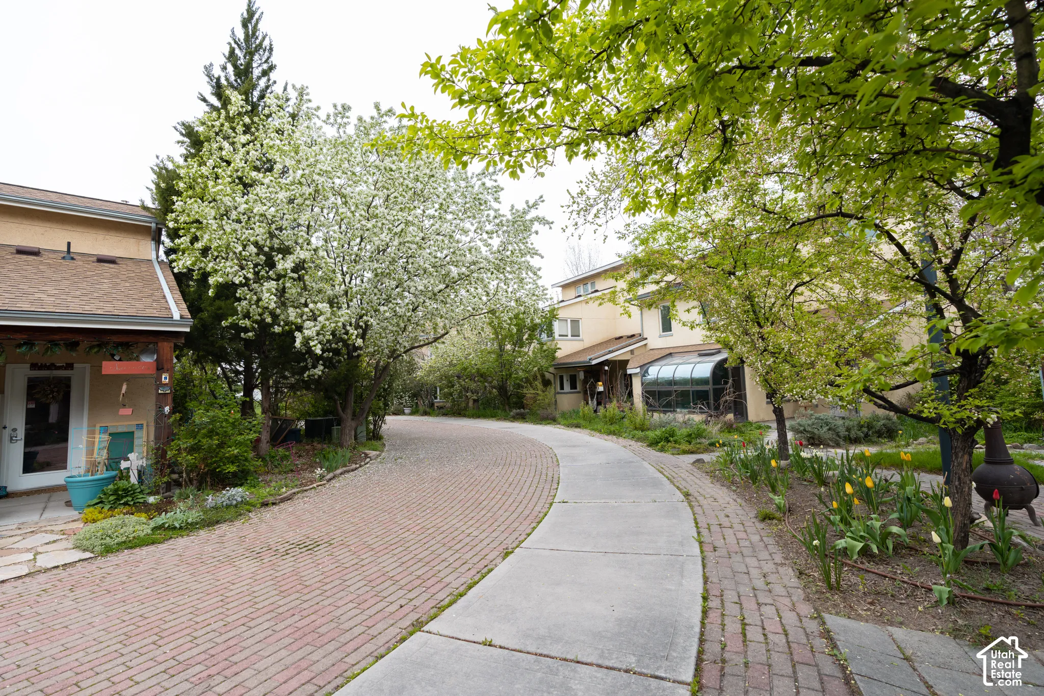 Brick paver driveway with a concrete walking path, mature trees, blooming spring foliage, and a glass-enclosed sunroom