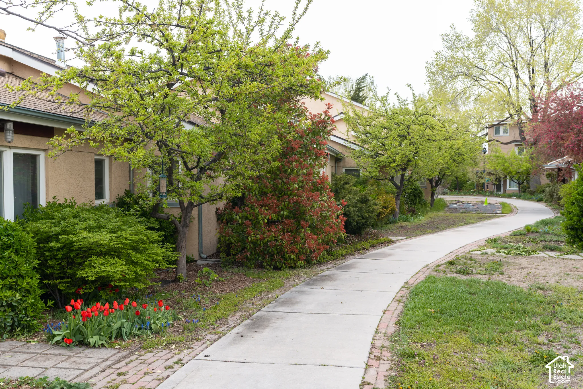 Curved concrete pathway with brick edging, bordered by manicured shrubs and mature trees