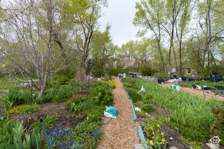 Expansive garden beds with established plantings, wood chip pathways, and mature trees