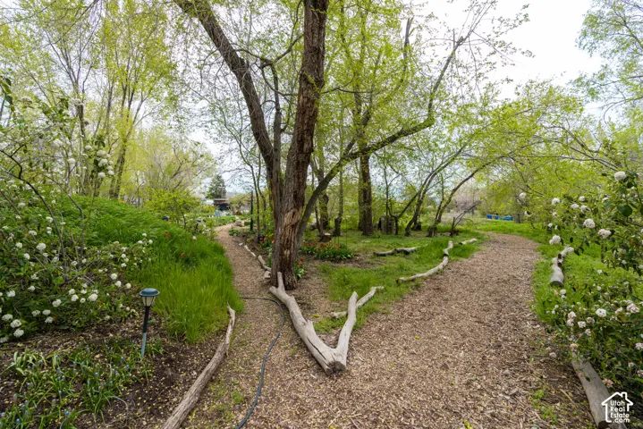 Wood chip paths leading through a landscaped natural setting with mature trees and varied foliage