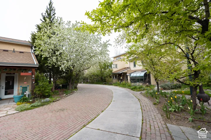 Brick paver driveway with a concrete walking path, mature trees, blooming spring foliage, and a glass-enclosed sunroom