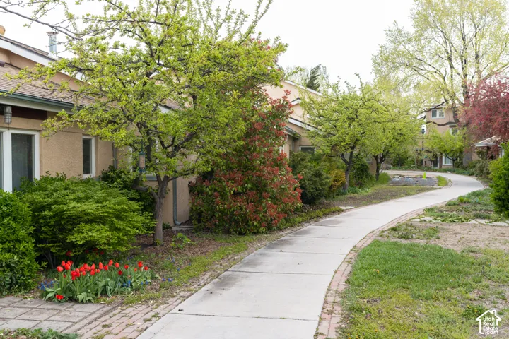 Curved concrete pathway with brick edging, bordered by manicured shrubs and mature trees