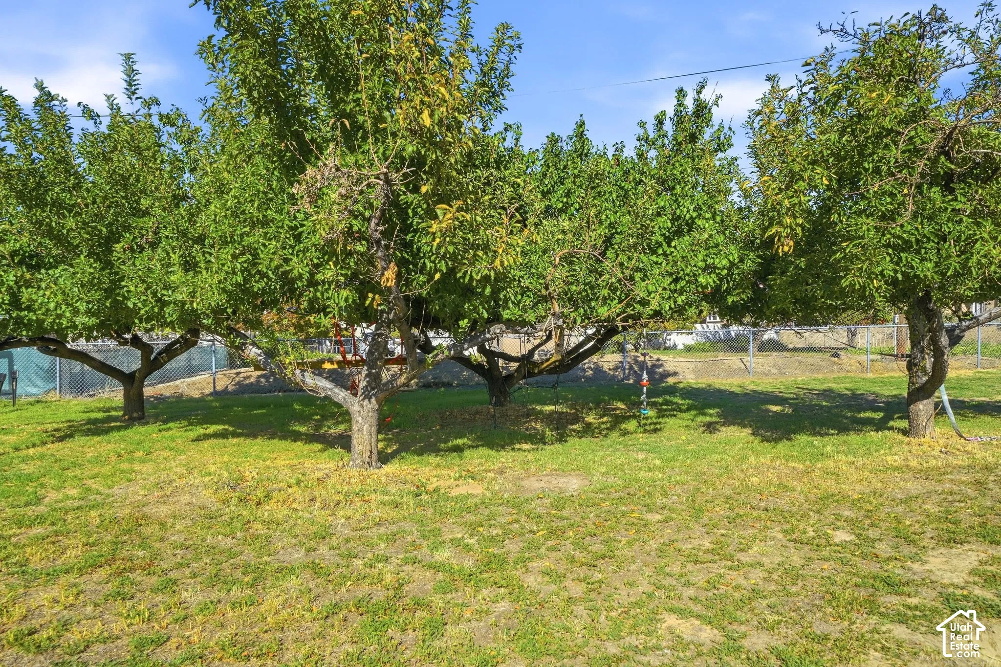 Expansive backyard featuring mature trees and a chain-link fence