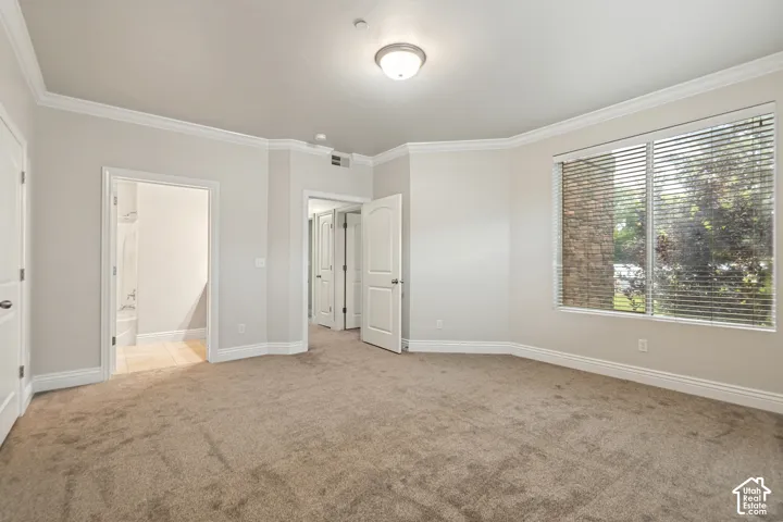 Plush carpet flooring, crown molding, and a flush mount light fixture