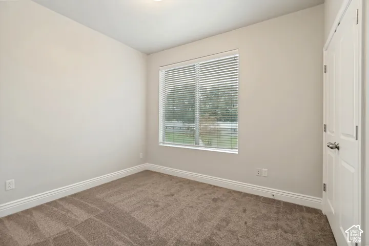 Neutral tone walls, plush carpet flooring, and white trim