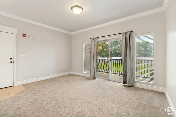Neutral-toned carpeting with crown molding and baseboards
