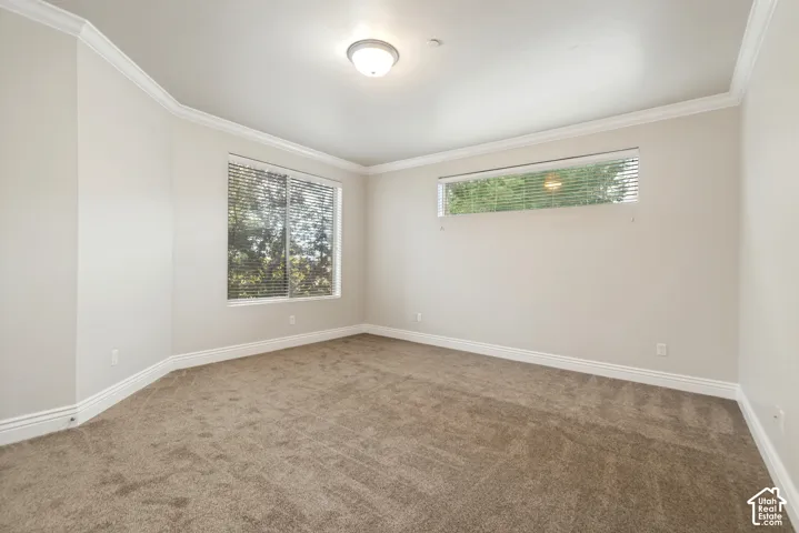 Neutral-toned carpeting, crown molding, and a flush mount ceiling fixture