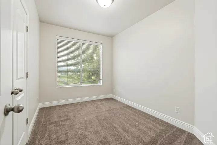 Neutral wall paint, window with blinds, overhead lighting, and carpet flooring