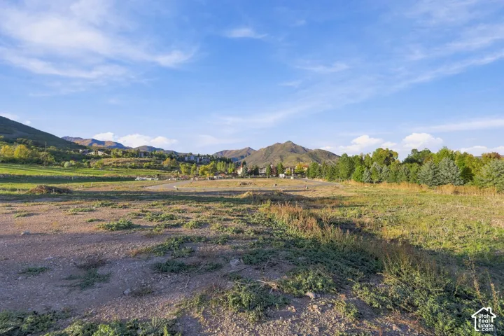 Expansive land parcel featuring natural ground cover