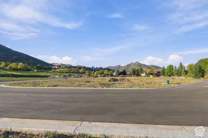 Paved street frontage with curb, surrounding natural landscape, and distant mountain backdrop