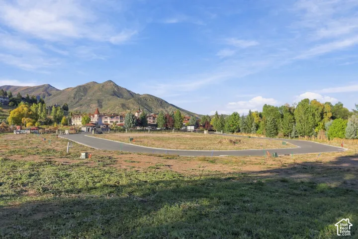 Expansive undeveloped lot featuring paved road access, mature trees, and mountainous terrain in the background
