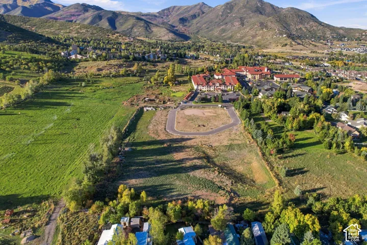 Expansive land parcel featuring clear ground, partially paved access roads, and abundant surrounding greenery