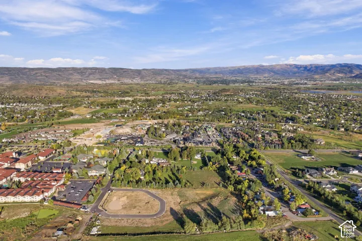 Expansive aerial perspective showcasing a developed neighborhood with mature trees, established roads, and distant mountains