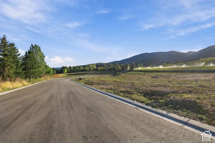 Paved road with integrated curbing, surrounded by varied terrain including open ground and mature trees, set against a mountainous backdrop