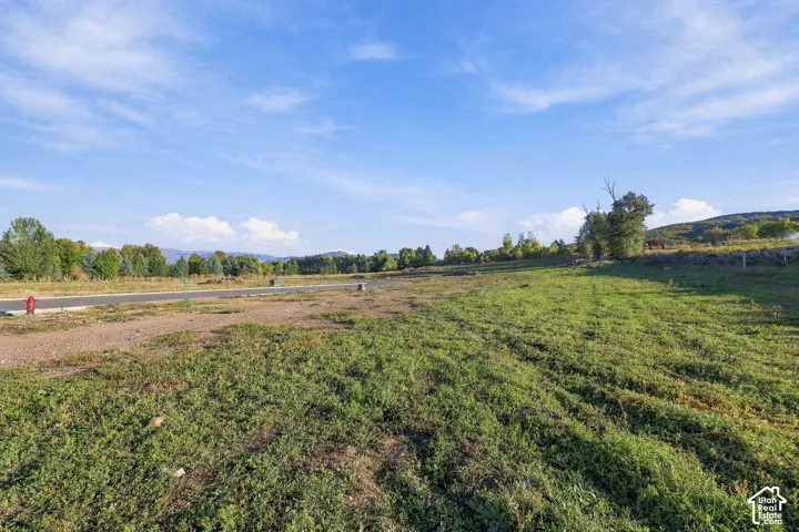 Expansive open lot with natural grass and a paved road
