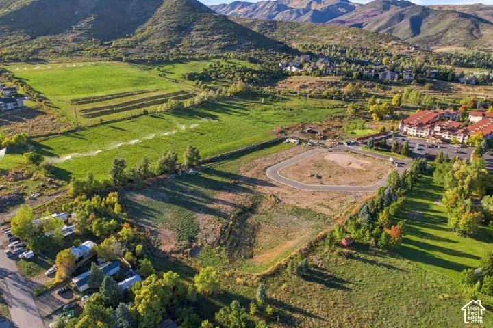 Expansive property featuring undeveloped land, established green spaces, and mature trees