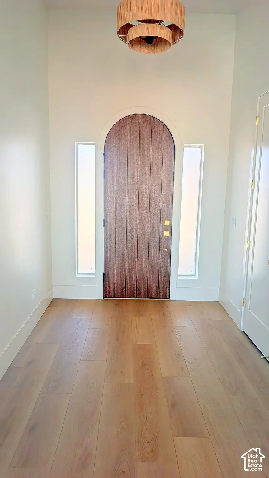 Arched solid wood door flanked by full-height sidelights, wood-finish flooring, and drum-style pendant lighting