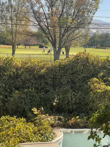 Landscaped shrubbery with a partial pool edge, overlooking a golf course with mature trees and distant hills