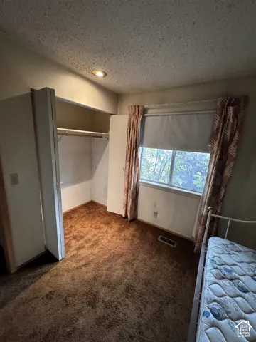 Recessed ceiling lighting, window with roller shade, full-height closet with hanging rod, and brown carpet flooring