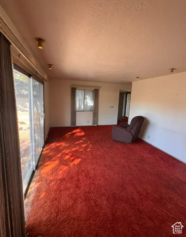 Expansive room featuring red carpeting and track lighting