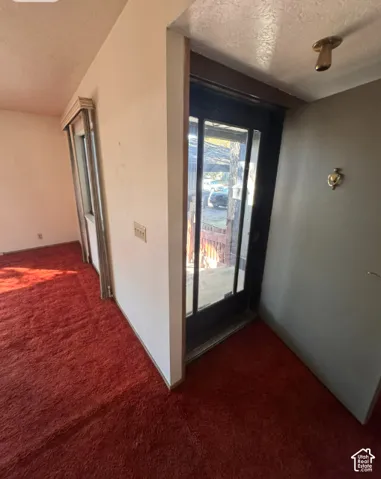Entryway with red carpeting, an overhead light fixture, and a glass-paneled door