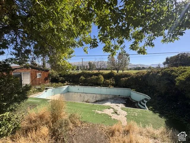 Outdoor pool structure with integrated steps and surrounding mature foliage