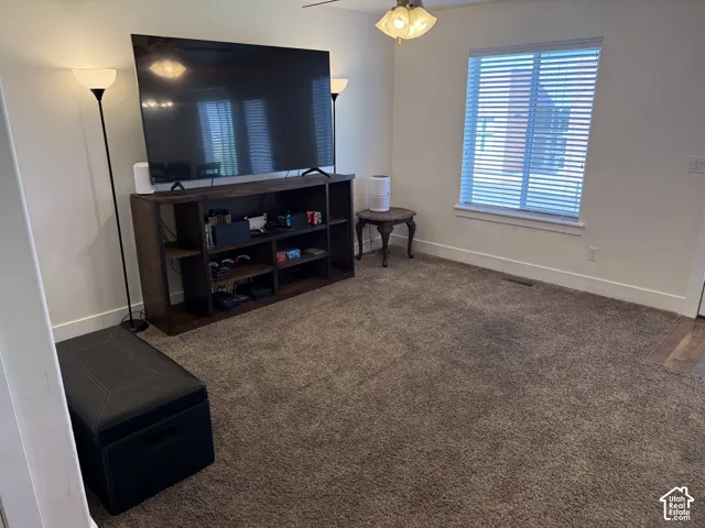 Carpeted living area with a ceiling fan, window with blinds, and wood-finish flooring at the entrance